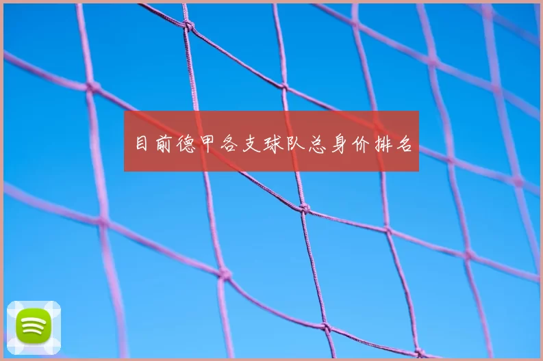 目前德甲各支球队总身价排名