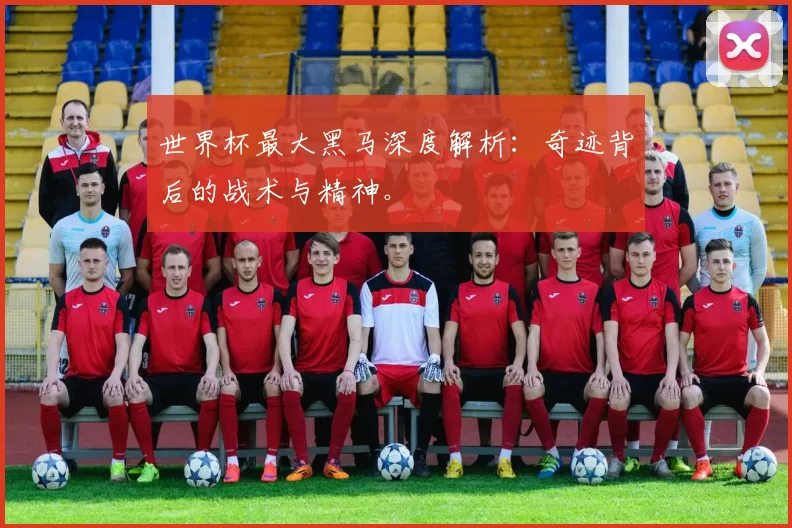 世界杯最大黑马深度解析:奇迹背后的战术与精神。
