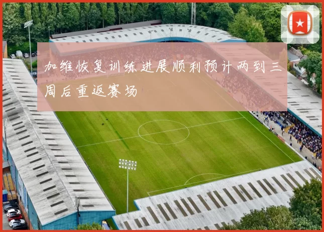 加维恢复训练进展顺利预计两到三周后重返赛场