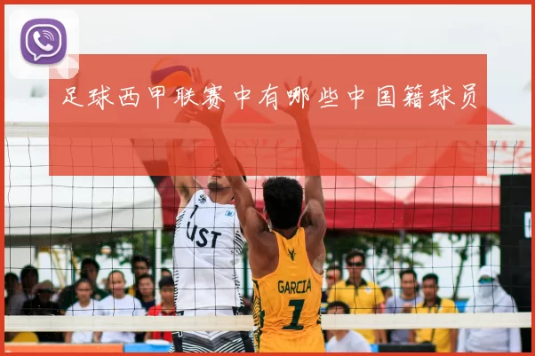 足球西甲联赛中有哪些中国籍球员