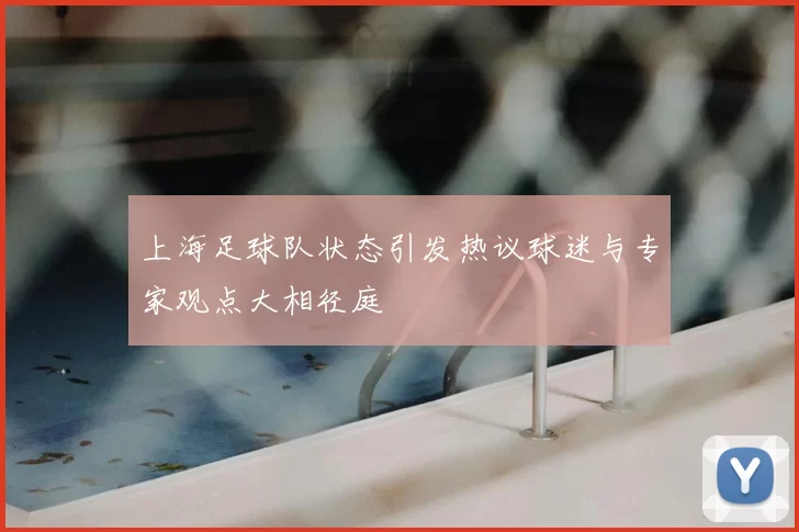 上海足球队状态引发热议球迷与专家观点大相径庭