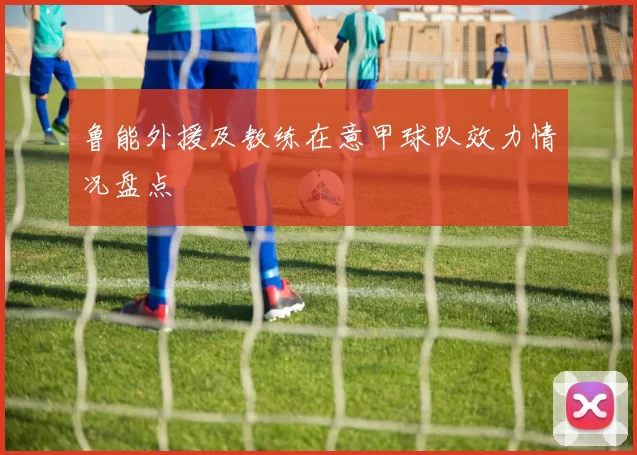鲁能外援及教练在意甲球队效力情况盘点