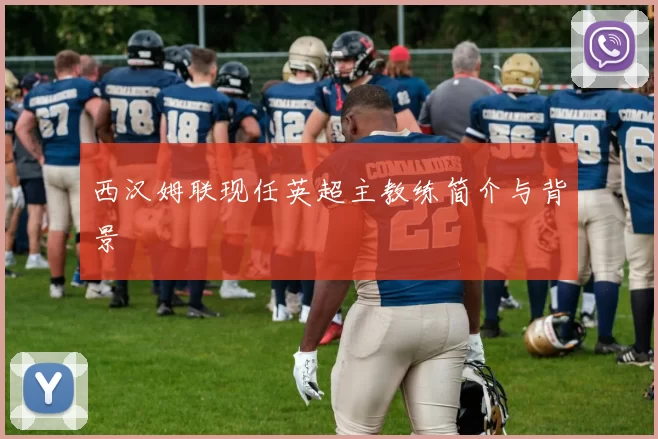 西汉姆联现任英超主教练简介与背景