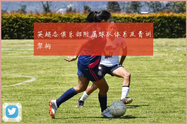 英超各俱乐部附属球队体系及青训架构