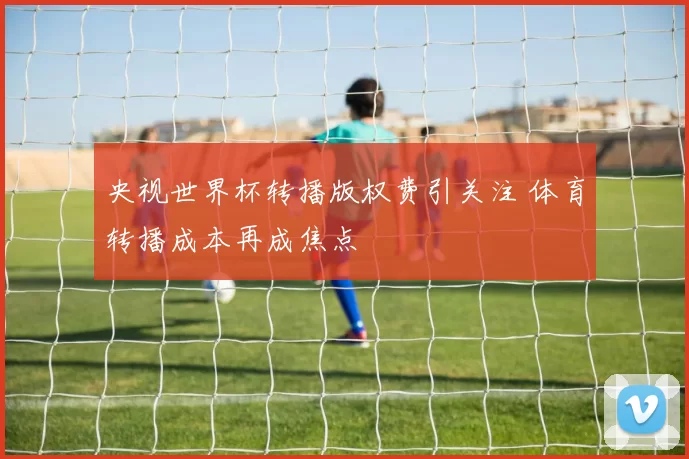 央视世界杯转播版权费引关注 体育转播成本再成焦点
