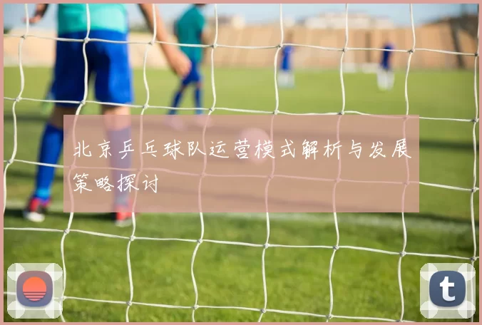 北京乒乓球队运营模式解析与发展策略探讨