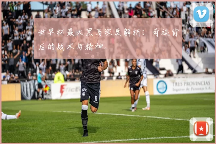 世界杯最大黑马深度解析：奇迹背后的战术与精神。
