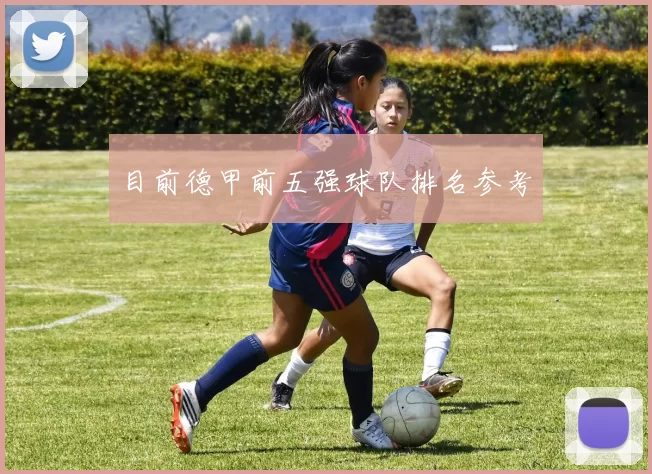 目前德甲前五强球队排名参考