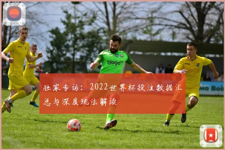 独家专访：2022世界杯投注数据汇总与深度玩法解读