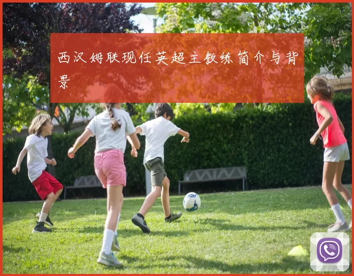 西汉姆联现任英超主教练简介与背景