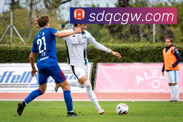 kaiyun平台生态图